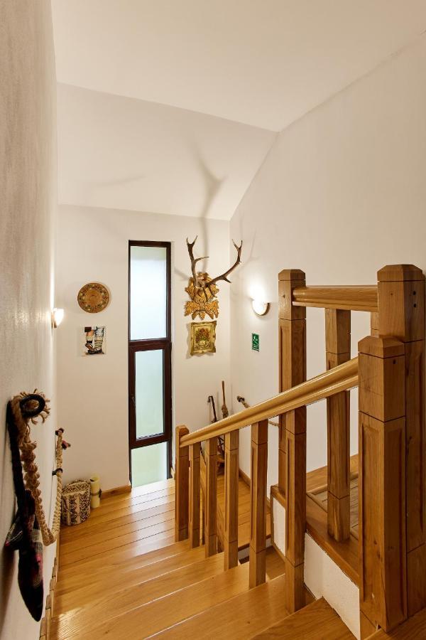 Gradina Lu' Ion "A Home Away From Home" (Adults Only) Vişeu de Sus Exterior foto